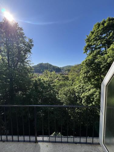 a view of the mountains from a balcony at Pension Villa Pangea in Bad Lauterberg