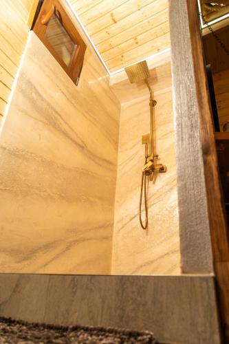 a shower in a room with a wooden wall at Cabana Oul Arsitei in Pleşi