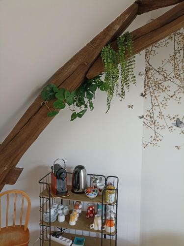 une étagère avec une bouilloire et des plantes au plafond dans l'établissement Gîte Le Nid aux Papillons, à Palinges