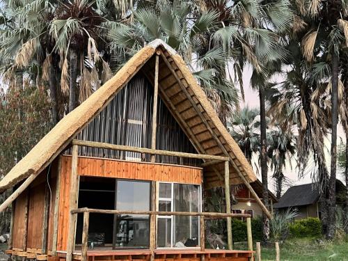 Fotografie z fotogalerie ubytování Mokolwane RiverFront Maun v destinaci Maun