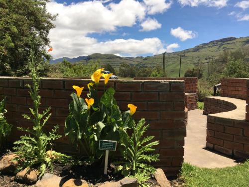 a garden with yellow flowers and a brick wall at Sani Lodge & Cottages in Sani Pass