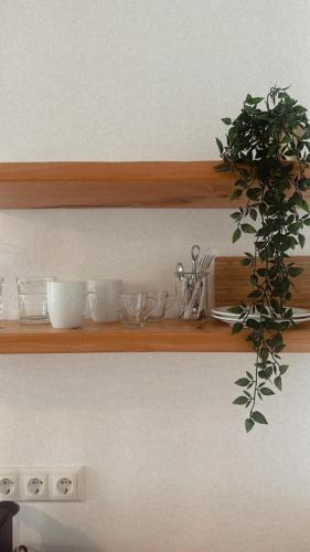 a wooden shelf with glasses and a plant on it at Sea Bliss Adults Only in Parga