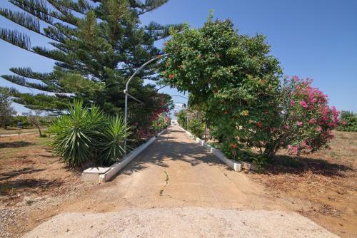a dirt road with two trees and a street light at Quinta Alegre Tavira T3 in Luz de Tavira