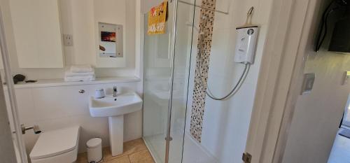 a bathroom with a shower and a toilet and a sink at Clovelly Green Cottage in Clovelly