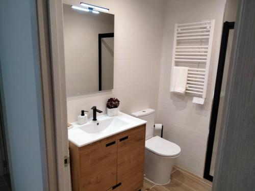 a bathroom with a sink and a toilet and a mirror at Casa Sabela in Tomiño