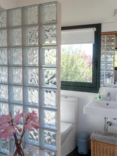 a bathroom with a glass block window and a sink at Casa Lourido in Sada