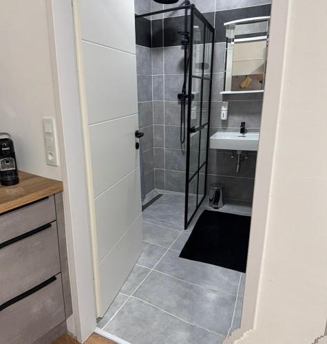 a bathroom with a shower and a sink at Seewinkelruh in Frauenkirchen
