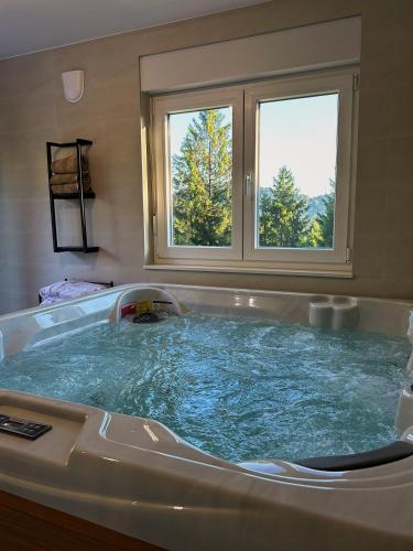 a jacuzzi tub in a room with two windows at Villa Pika in Delnice