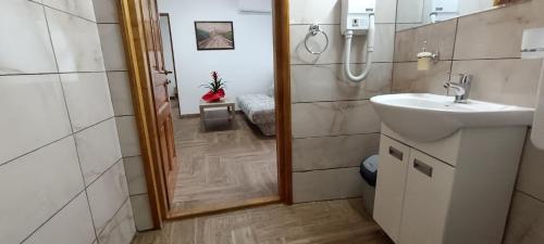 a bathroom with a sink and a shower with a mirror at Petrovaradinski Dvor in Petrovaradin