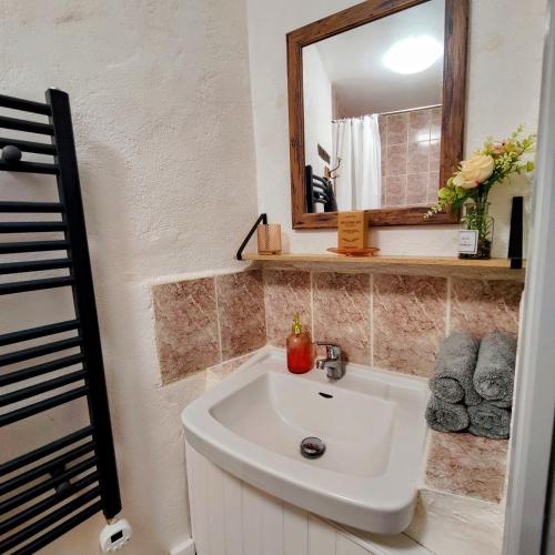 a bathroom with a sink and a mirror at Les Écuries in Empuré