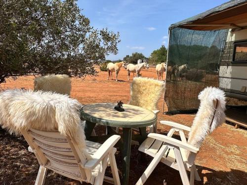 a table and two chairs with sheep in the background at Pauls caravan for 4 - See the horses from your bed in Barão de São João