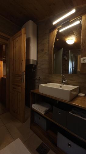 a bathroom with a sink and a mirror at Lake house Amur in Kočevje