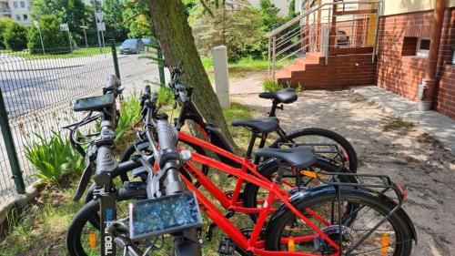 a group of bikes parked next to a tree at Rentumi Hostel Świnoujście pokoje turystyczne, noclegi centrum, blisko morza in Świnoujście