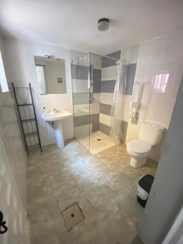 a bathroom with a toilet and a sink and a shower at Hakuna Matata in El Campello
