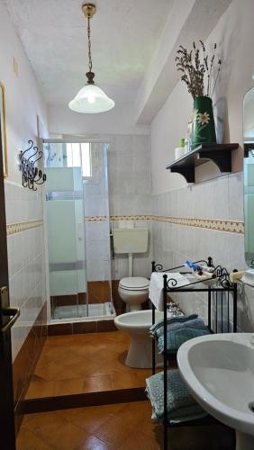 a bathroom with a shower and a toilet and a sink at Casa Terranova in Ustica