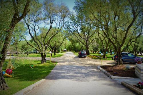 a tree lined street with cars parked in a park at Green Park Hotel & Residence in Bagnara Calabra