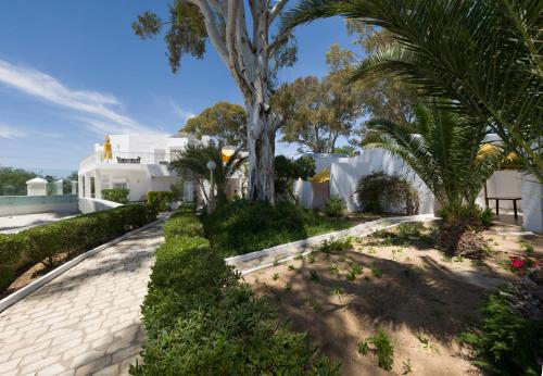 a garden with a palm tree and a house at The Sindbad in Hammamet