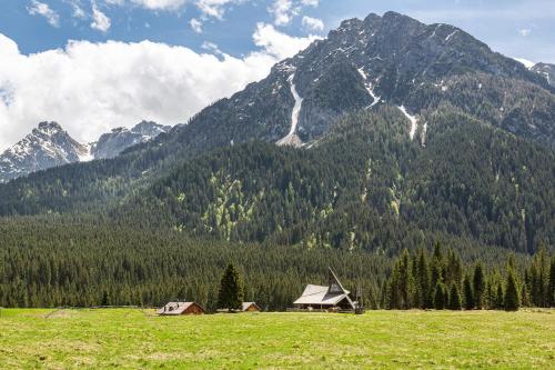a house in a field with mountains in the background at Affittacamere Angelina in San Pietro di Cadore