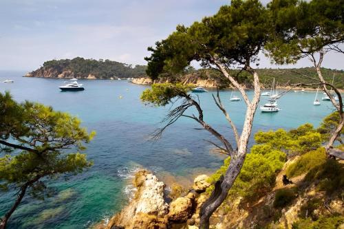 a view of a bay with boats in the water at Escale Toulonnaise - Cosy, calme & bien situé in Toulon