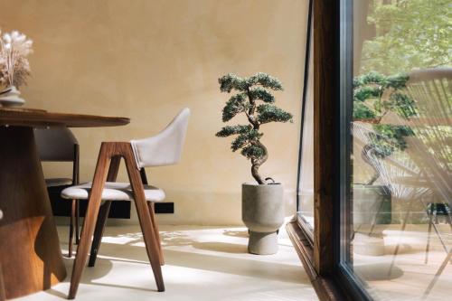 a chair and a bonsai tree in a room at Juniper Chalet Mátra in Mátraszentimre
