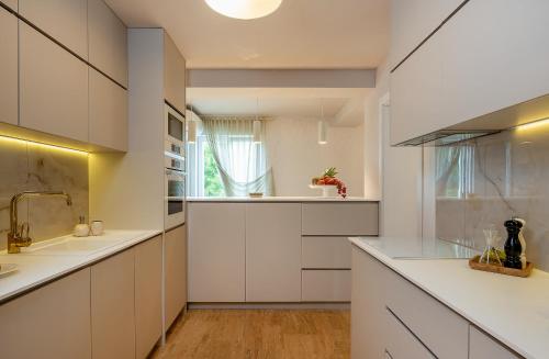 Η κουζίνα ή μικρή κουζίνα στο Luxury Villa David with swimming pool, sauna and jacuzzi