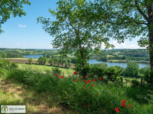 a view of a river from a field with flowers at Gite de Conquettes in Canet-de-Salars