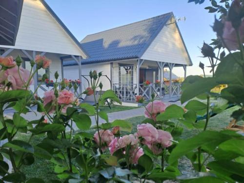 Domki u Ani Rusinowo