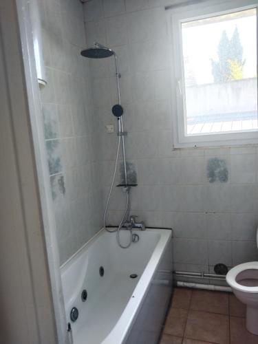 une salle de bain avec baignoire et toilettes dans l'établissement Andrea, à Fontenay-sous-Bois