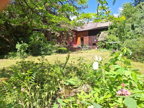 a garden in front of a house at Chalupa u Žalských in Benecko
