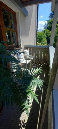 a porch with a chair and a plant at Goldsteig 3 - Doppelzimmer in Windischeschenbach