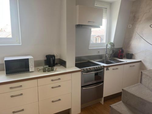 une cuisine avec un micro-ondes et une cuisinière four supérieur dans l'établissement Lara Home, centre reims, à Reims