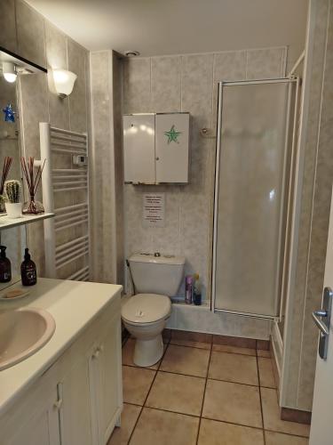 a bathroom with a toilet and a shower and a sink at PhilVik in Lannion