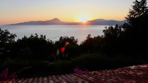 Φυσικό τοπίο κοντά σε αυτή η βίλα