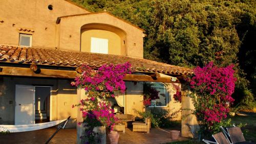 Κήπος έξω από το San Biagio Lodges Maratea in Cersuta