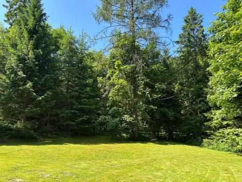 Taman di luar Forest House- dom nad górskim potokiem