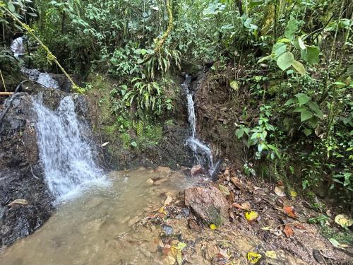 a waterfall in the middle of the jungle at Cabaña Selvática y Manantiales, San Miguel Guarne in Guarne
