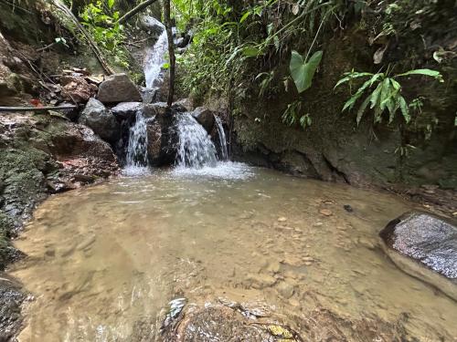 a waterfall in the middle of a pool of water at Cabaña Selvática y Manantiales, San Miguel Guarne in Guarne