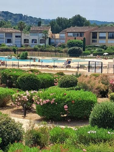 un jardin avec une piscine en arrière-plan dans l'établissement Les jonquières à Gassin, avec piscine collective 26, à Gassin