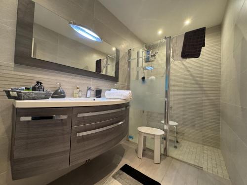a bathroom with a sink and a shower at le Villaret - 4pers - Climatisation - Rêve au Mans in Coulaines