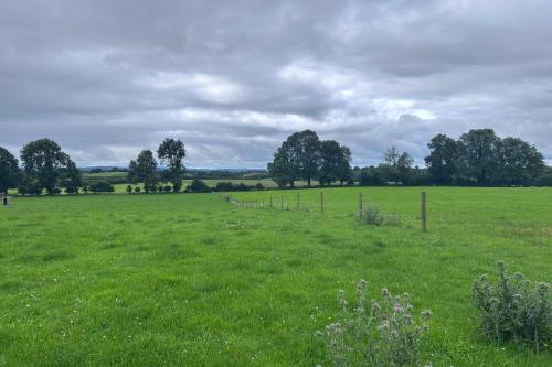 a field of green grass with a fence in it at Kilkenny Organic Farm 2-Bed Apt Sleeps 4 Parking in Kilkenny