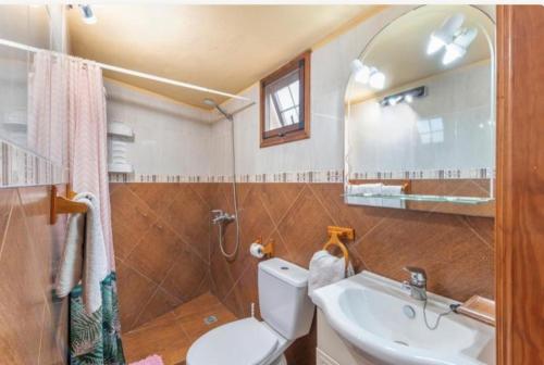 a bathroom with a toilet and a sink and a mirror at Casa La Rehoya in Puntallana
