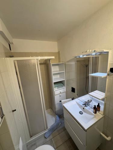 une salle de bain avec une douche, un lavabo et des toilettes dans l'établissement Studio ideal pour les vacances, à Roquebrune-Cap-Martin