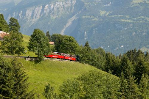 a red train on a hill in the mountains at Casi - Partial lake view in Brienz