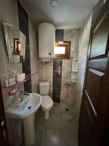 a small bathroom with a toilet and a sink at Danzot Tatil Köyü ve Restoran in Artvin
