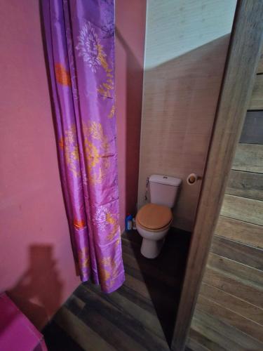 a bathroom with a toilet with a purple shower curtain at LE Gite DU TOUR DE L'ILE 