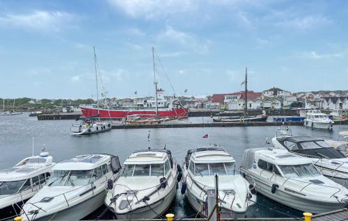 a group of boats docked in a marina at 1 Bedroom Cozy Home In Vrångö in Vrångö