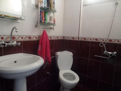 y baño con aseo blanco y lavamanos. en Guesthouse Natalia, en Borjomi