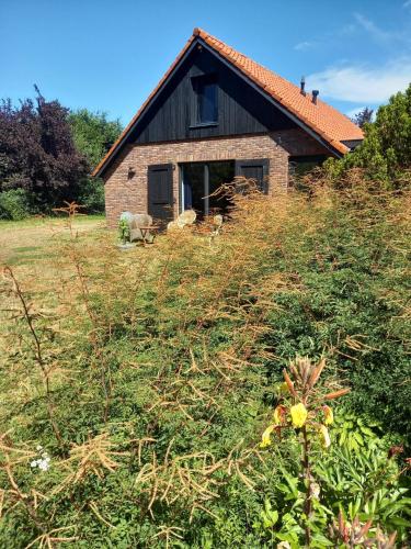 a small house on a hill with a grass field at Natuurhuis Marke Lemselo 80 m2 in Weerselo