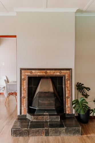 a fireplace in a living room with a potted plant at Serene Guesthouse in Middelburg