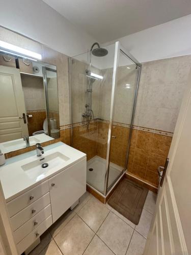 une salle de bain avec un lavabo et une douche dans l'établissement Logement paisible avec piscine, à Cannes